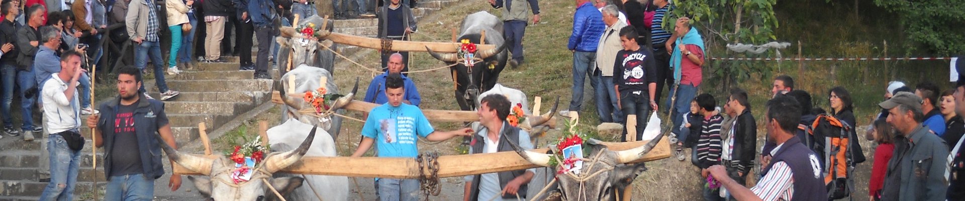 Comune Accettura 1920x400