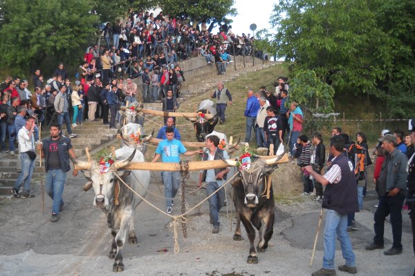 Comune Accettura 600x400